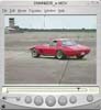 Quicktime Movie (1.4MB)